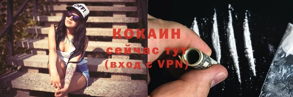ГАЛЛЮЦИНОГЕННЫЕ ГРИБЫ Михайлов