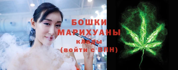 ГАЛЛЮЦИНОГЕННЫЕ ГРИБЫ Михайлов