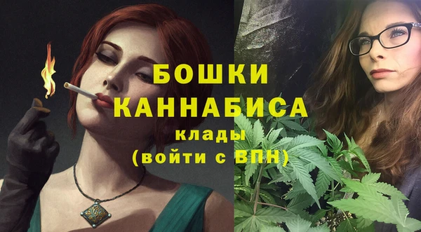 ГАЛЛЮЦИНОГЕННЫЕ ГРИБЫ Михайлов