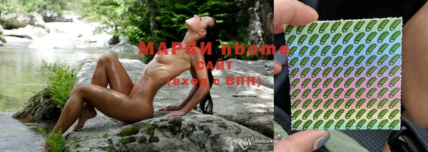ГАЛЛЮЦИНОГЕННЫЕ ГРИБЫ Михайлов