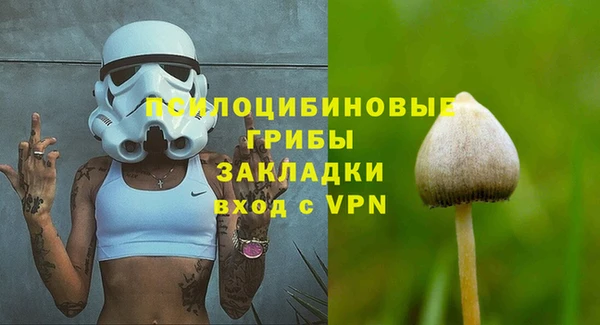мяу мяу мука Михайловка