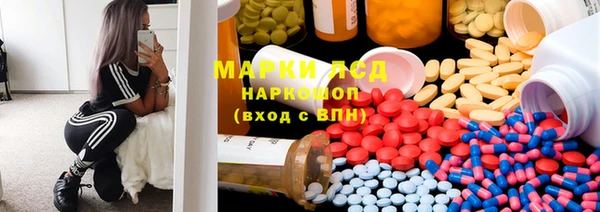 ГАЛЛЮЦИНОГЕННЫЕ ГРИБЫ Михайлов