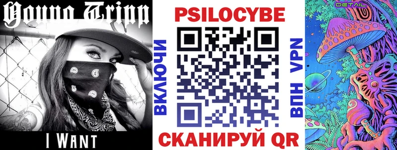 KRAKEN зеркало  Петровск  Псилоцибиновые грибы Cubensis 