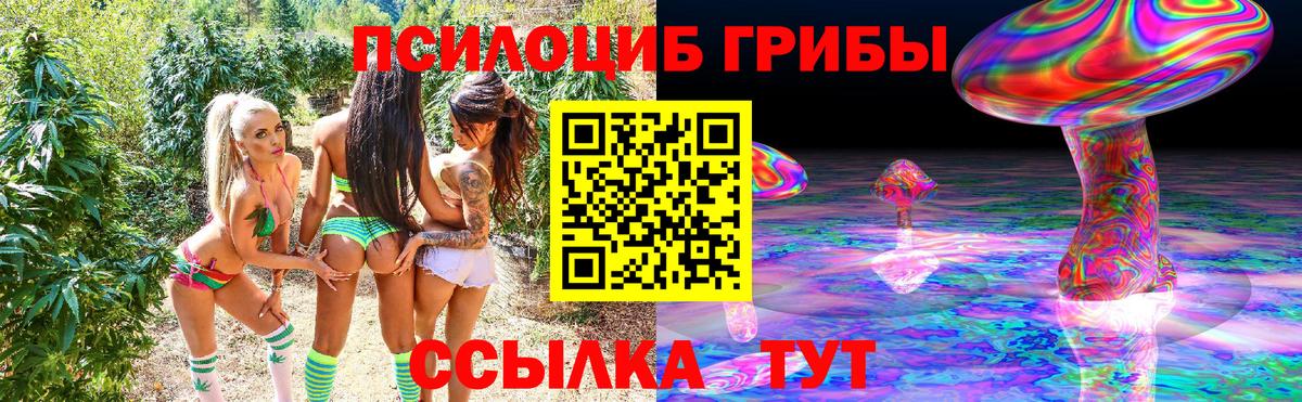 Псилоцибиновые грибы мицелий Петровск